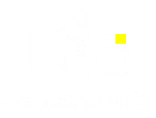 NES Logo